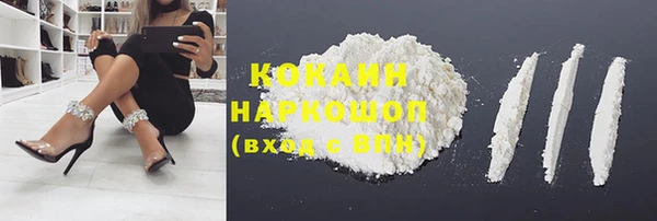 винт Бородино