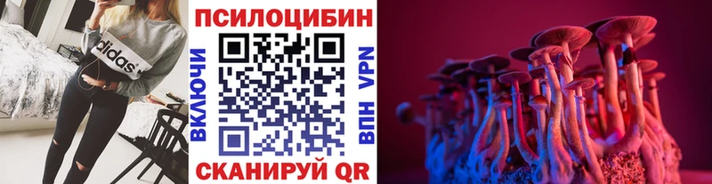 купить наркотик  Электроугли  Галлюциногенные грибы прущие грибы 